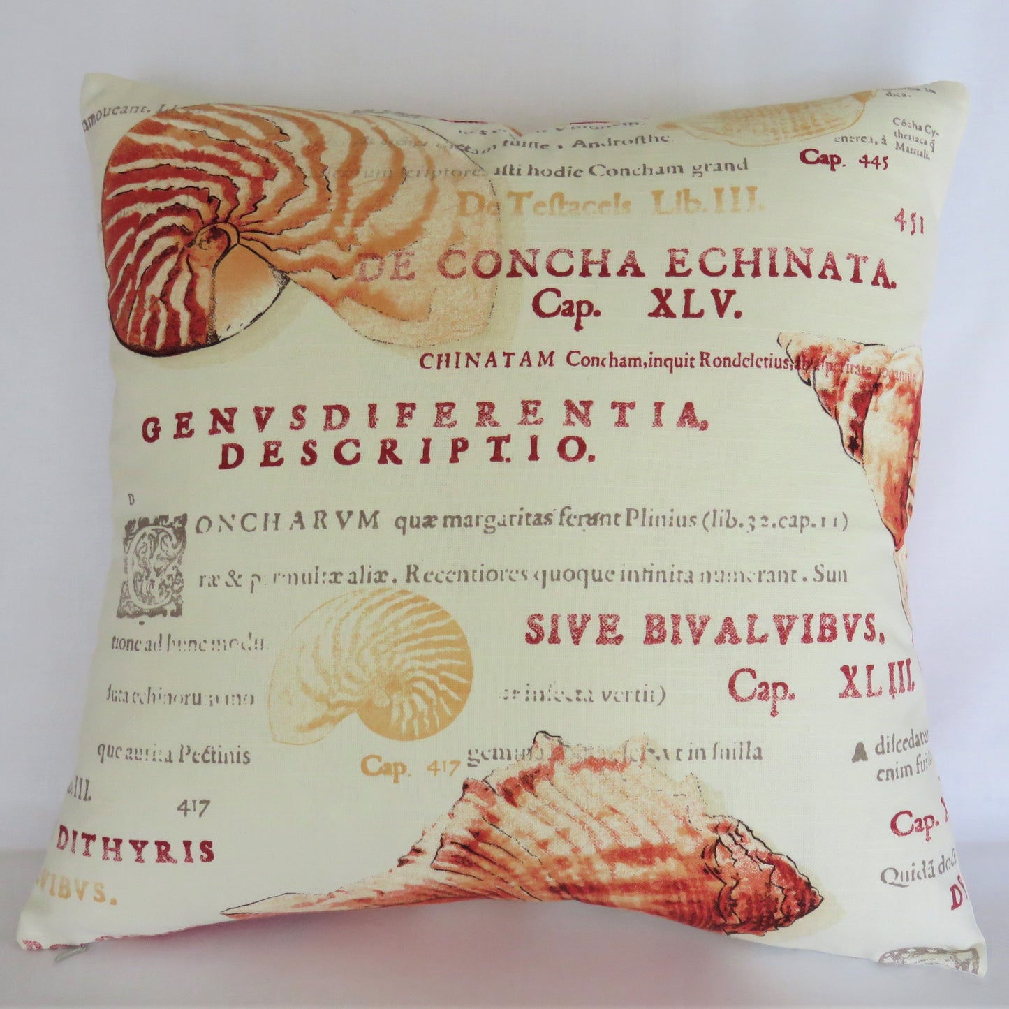 orange seashell and Latin script pillow cover