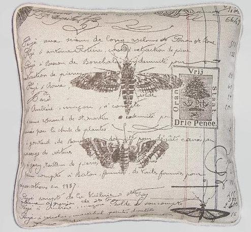 Moth and Butterfly Script Pillow Cover