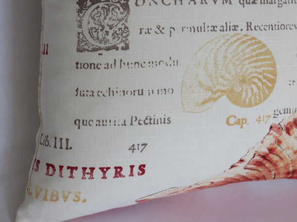 orange seashell and Latin script pillow cover