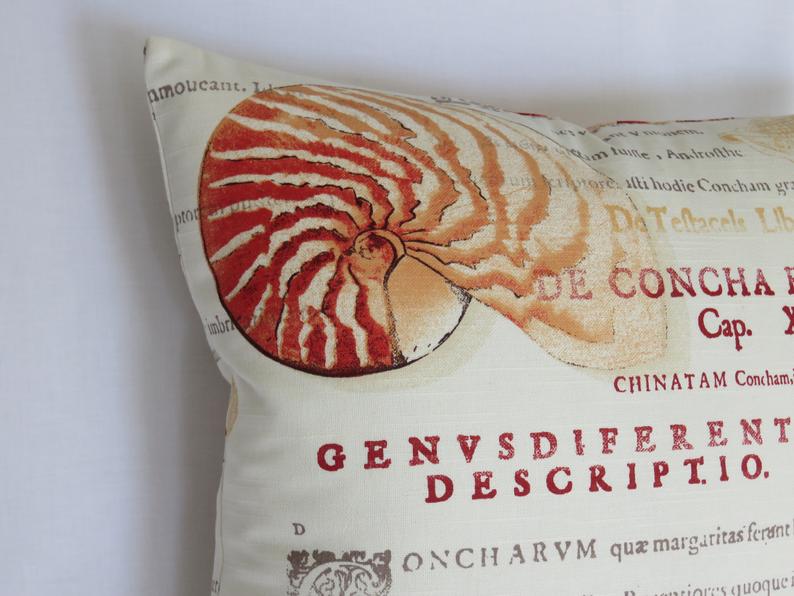 orange seashell and Latin script pillow cover